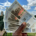 ZIMBABWE’S ZiG CURRENCY SPARKS ECONOMIC TURMOIL, THREATENING RETAILERS